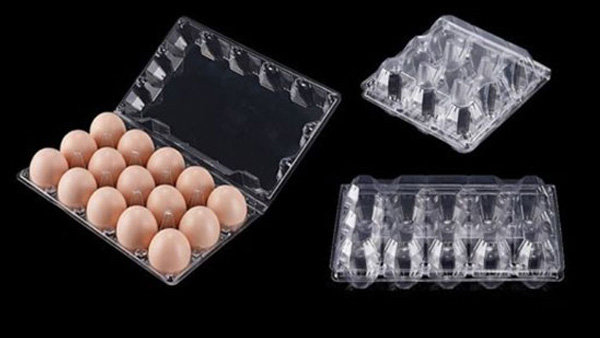 Plastic Egg Tray