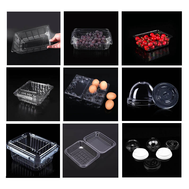 Thermoforming Machine Food Packaging Applications in Africa