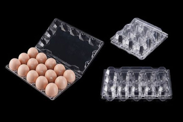 PET Egg Tray