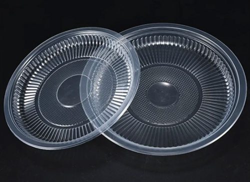 Disposable Plate